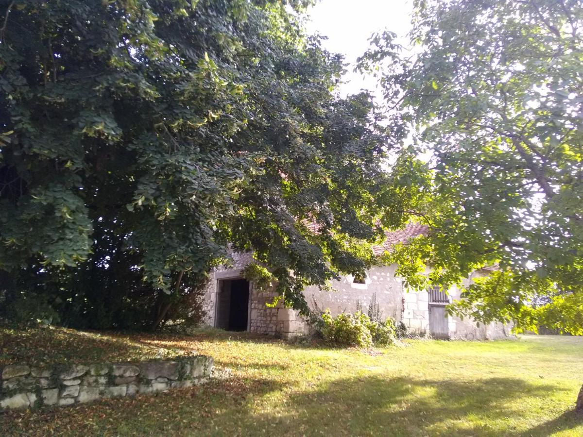 La Berrycurienne Proche Du Zoo De Beauval Saint-Aignan Avec Sdb, Wc Et Spa Privatif Pour Chaque Chambre Luçay-le-Mâle Buitenkant foto